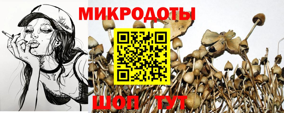 Кыштым  Псилоцибиновые грибы ЛСД  Вход с VPN 